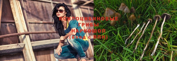 mix Вяземский