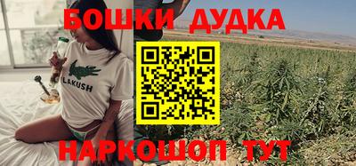 хмурый Бийск