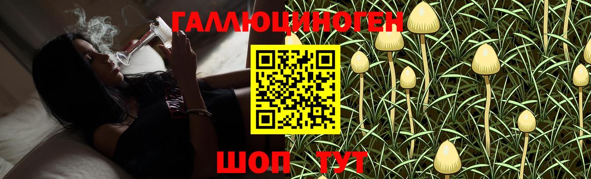 Белебей  Псилоцибиновые грибы MAGIC MUSHROOMS  Вход с VPN 
